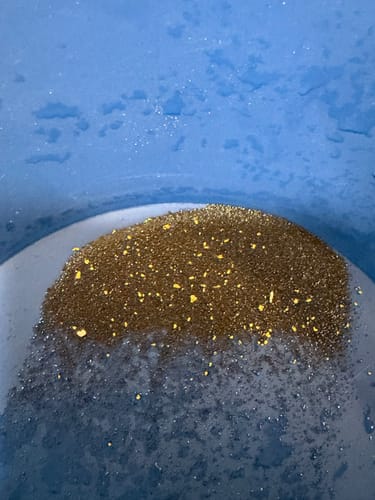 Customer's close-up of gold flakes and dark concentrate in a blue pan after using the 6X30 Trek Gold Sluice Box.