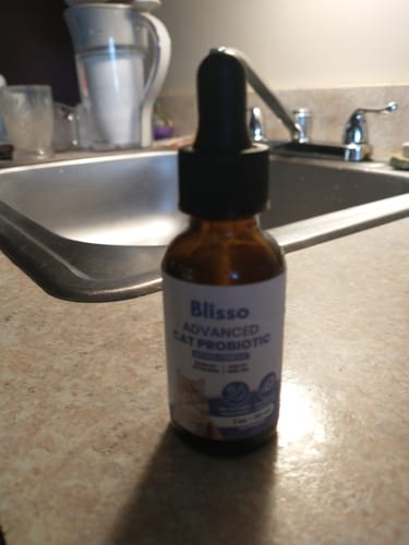 Customer photo review of 2x Blisso Advanced Cat Probiotic | Cat Probiotic for Diarrhea & Kidney Support