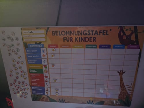 Kundenfoto der Edubini Belohnungstafel in Benutzung, mit Aufgaben und verdienten Sternen für den Montag.