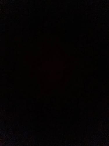 Customer photo review of Handmade Tulip Soy Wax Candle