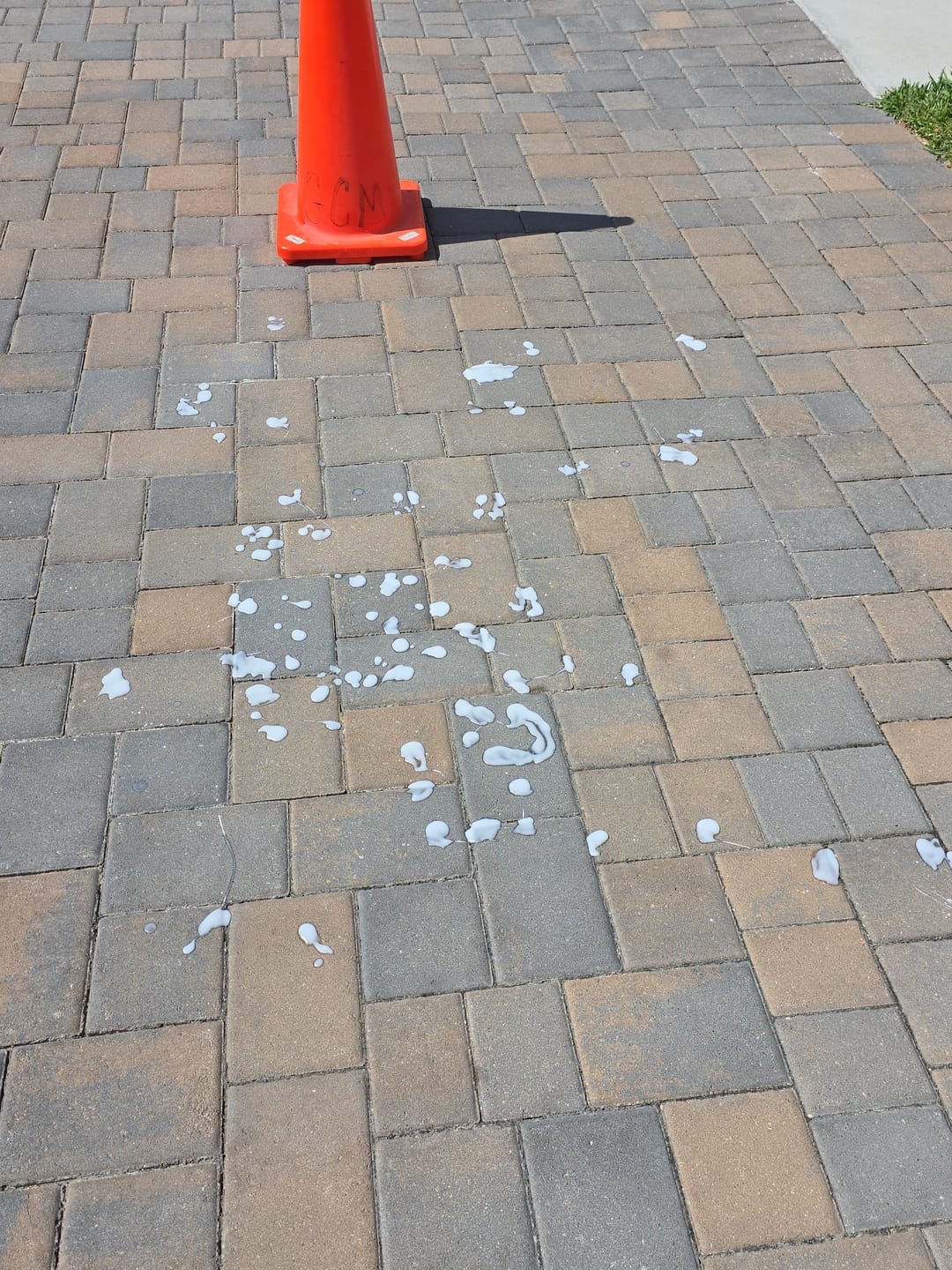 Customer photo review of CHOMP! Pull it Out Concrete Oil Stain Remover Bundle