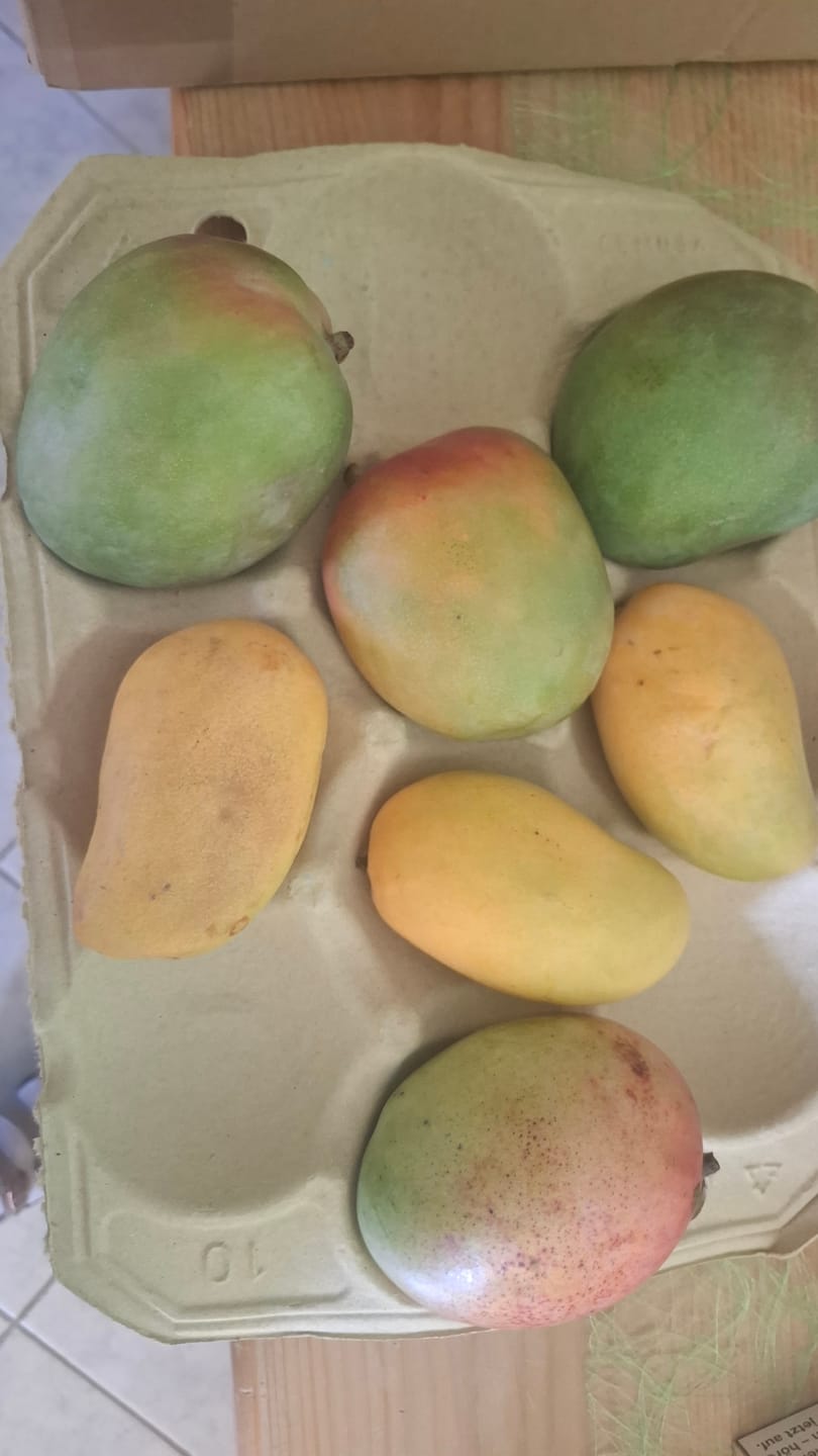 Customer photo review of Mango-Träume Mix-Box 2kg Sonderaktion %