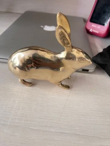 Customer photo review of Golden Rabbit Brass Idol – Auspicious Vastu Remedy for Wealth Attraction & Prosperity | Ideal for North Direction, Office Desk & Home Entrance | 13 x 4.5 x 11.5 cm | 670 g