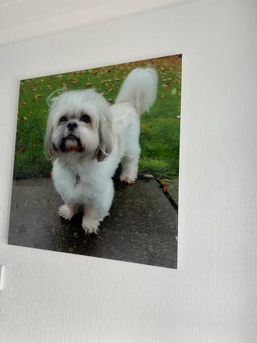 Customer photo review of Custom Glass Print Wall Art