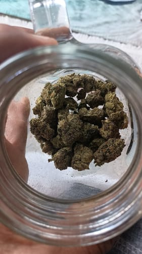 Customer photo review of Ice Cream Cake