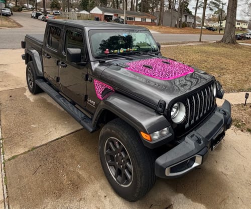 Customer photo review of Tan Cheetah Print Fender inserts (Set of 2)