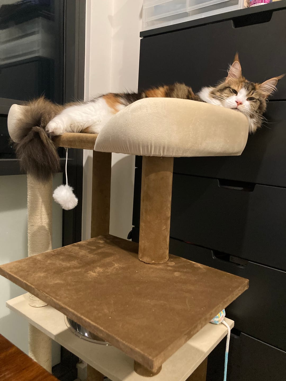 Customer photo review of Luxury Japanese-Style Cat Tree with Large Bed – 90906