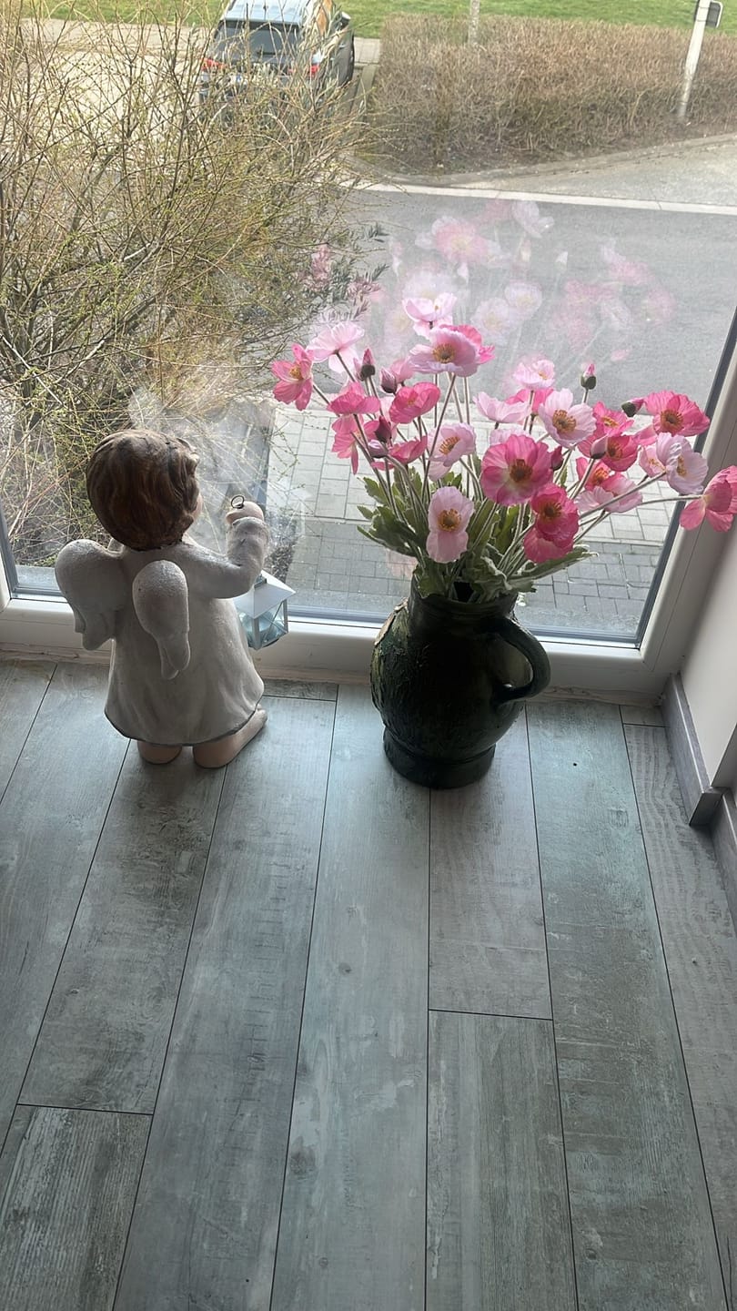 Customer photo review of Zijden Klaprozen - Roze Mix
