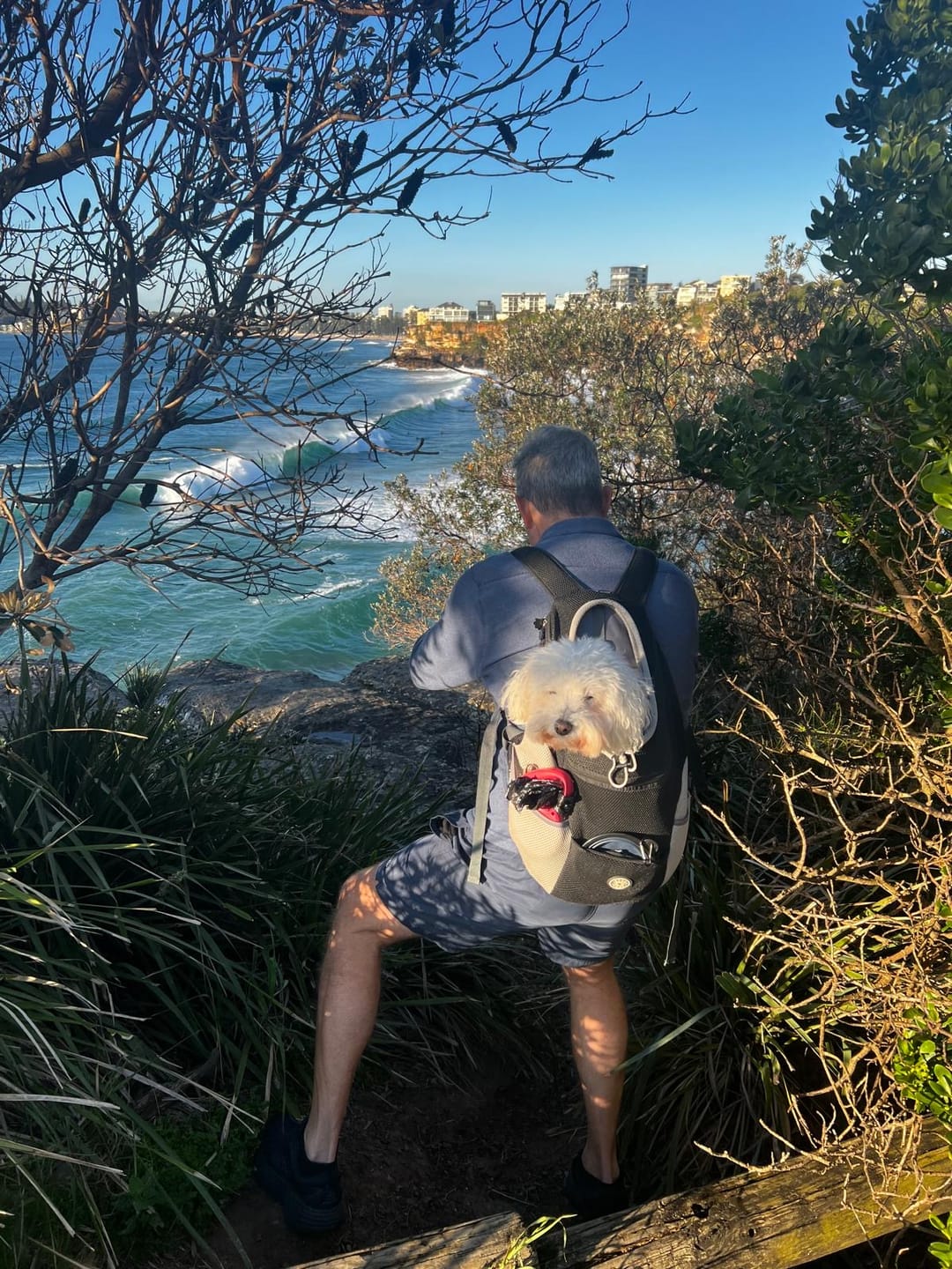 Customer photo review of The Voyager - Dog Backpack Carrier - For Small/Medium Pets