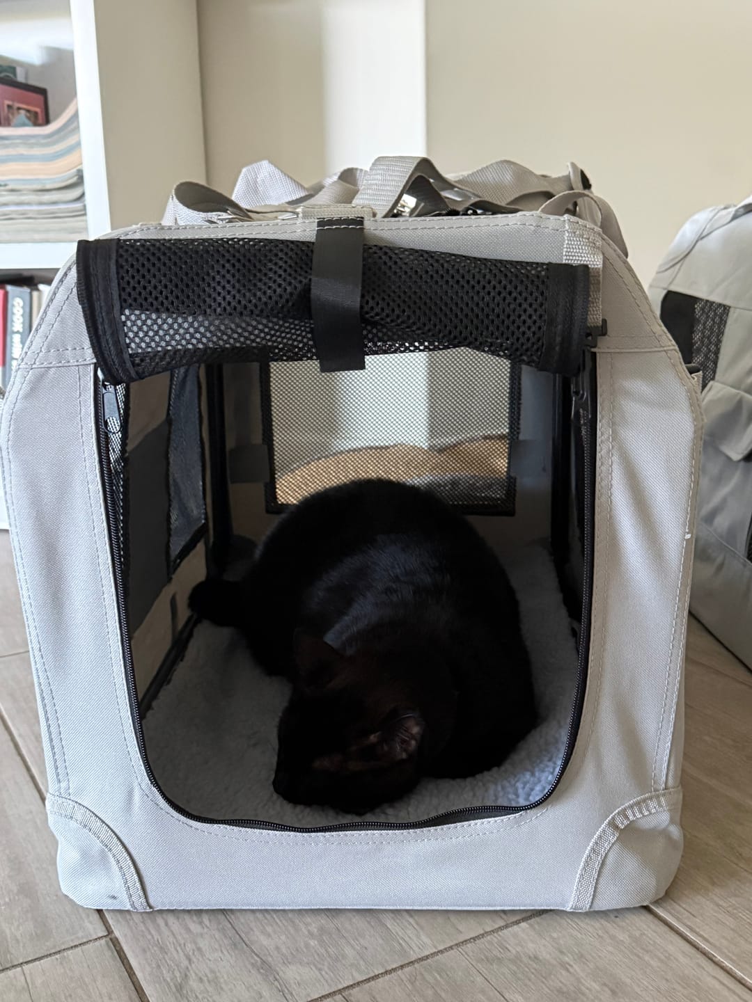 Customer photo review of Pets Gear Foldable Pet Car Carrier