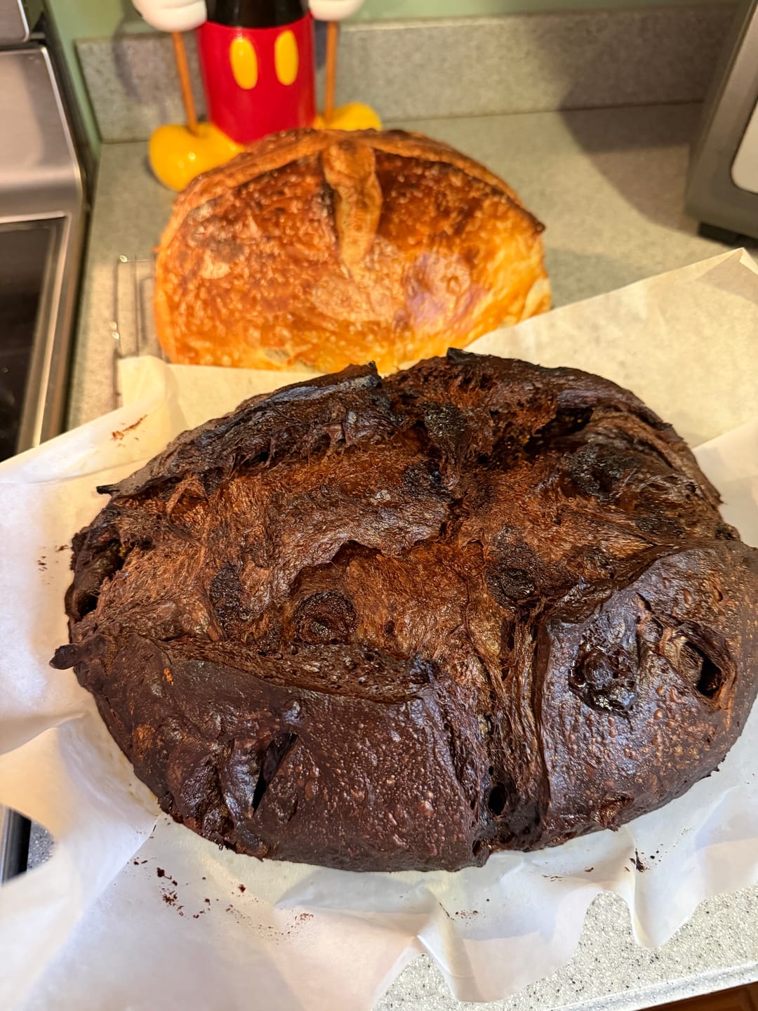 Customer photo review of Live 119 Year Old Valrhona CHOCOLATE Sourdough Starter Includes Maintenance PDF & Chocolate Noir Loaf Recipe