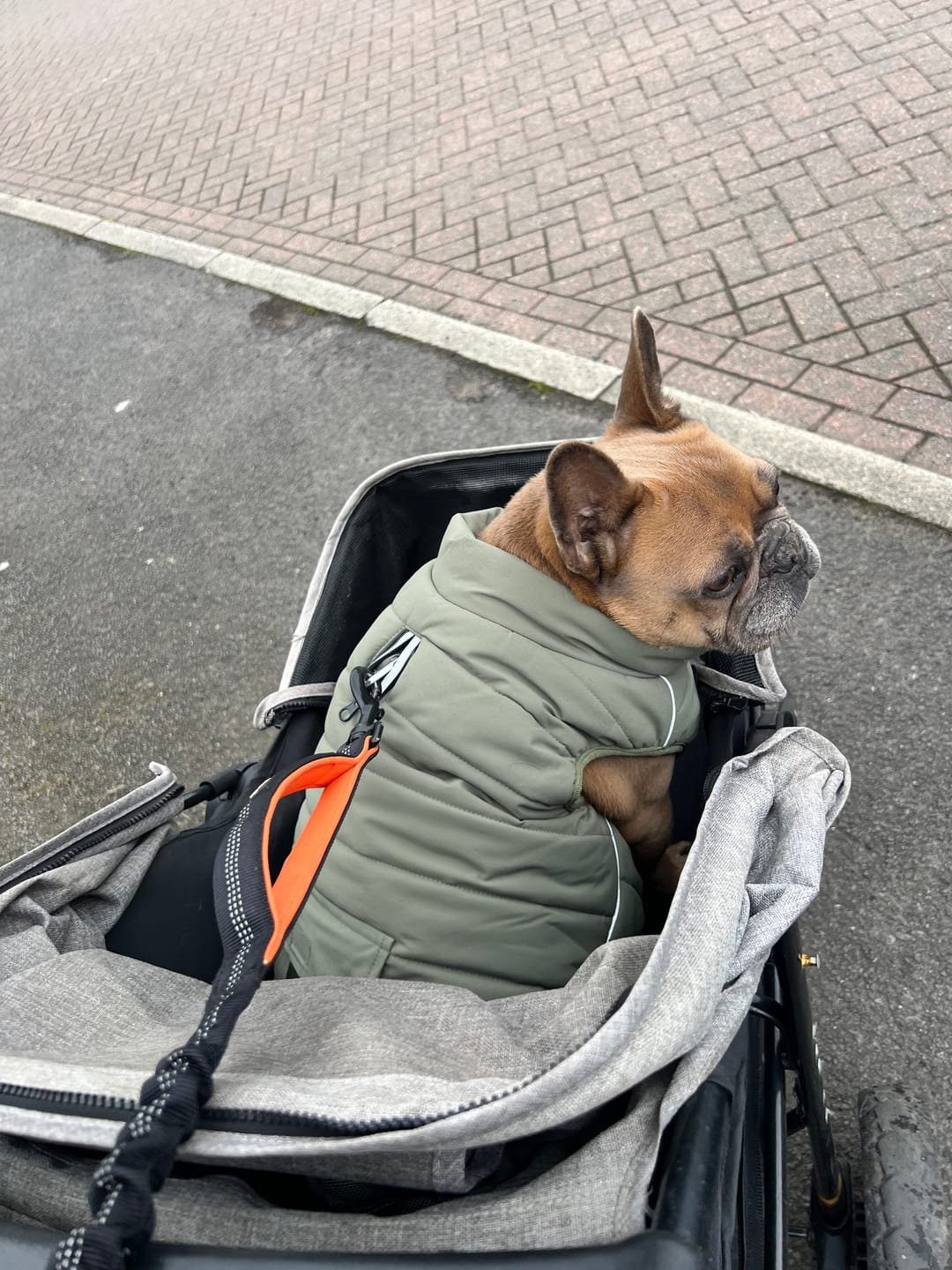 Customer photo review of WarmShield Water-Resistant Jackets