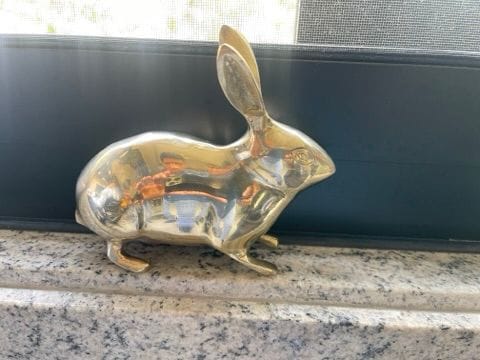 Customer photo review of Golden Rabbit Brass Idol – Auspicious Vastu Remedy for Wealth Attraction & Prosperity | Ideal for North Direction, Office Desk & Home Entrance | 13 x 4.5 x 11.5 cm | 670 g