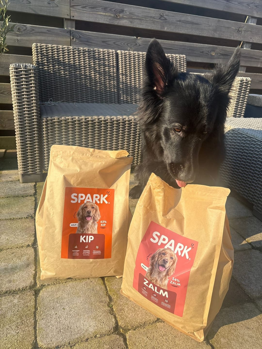 Customer photo review of V2.0 - Volwassen - Kip met Zoete Aardappel