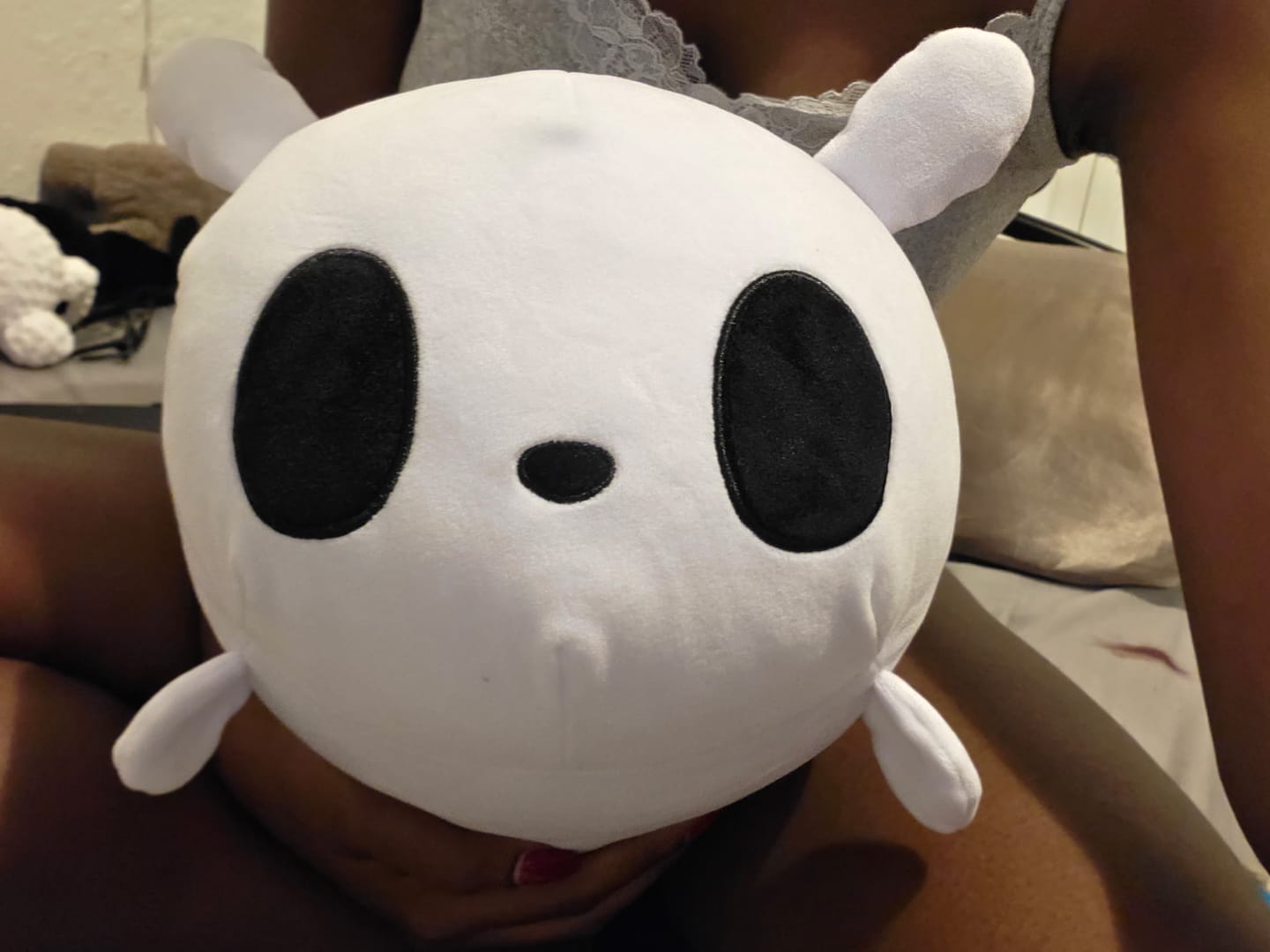Customer photo review of Rain World - Survivor Slugcat Pillow Plush
