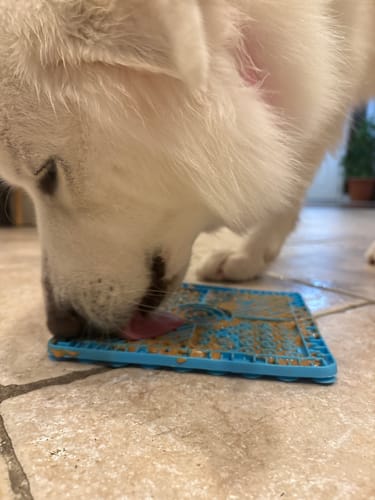 Customer photo review of Lick Pads - Multiple Styles