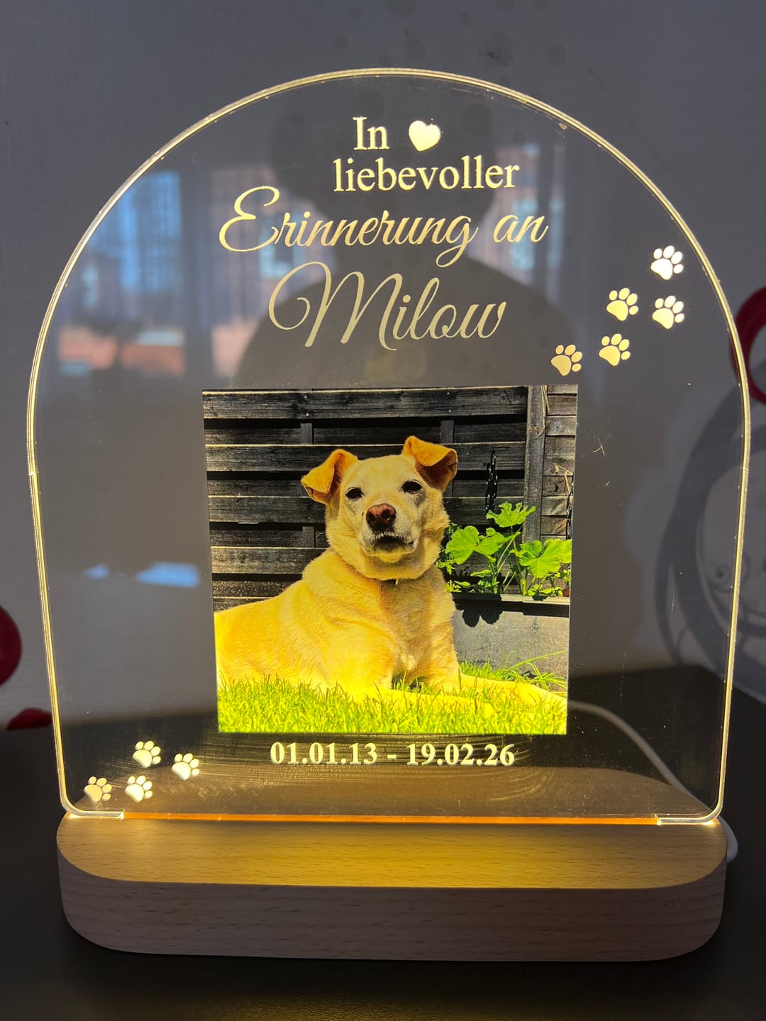 Customer photo review of Zur liebevollen Erinnerung – LED-Lampe für Hund/Katze