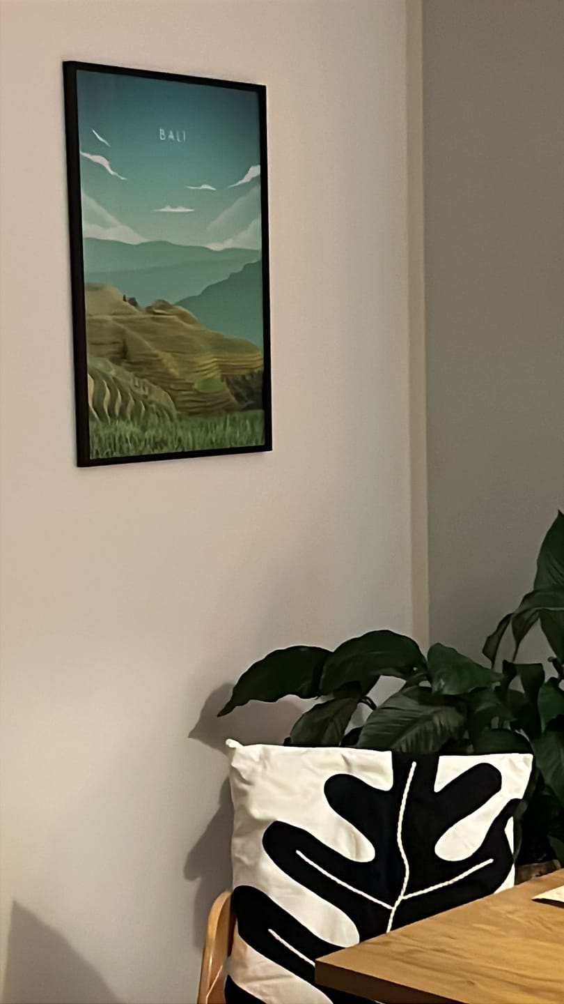 Customer photo review of Illustriertes Poster Bali Reisterrassen