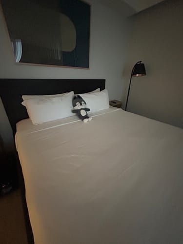 Customer photo review of SKZ Teddybear Plush