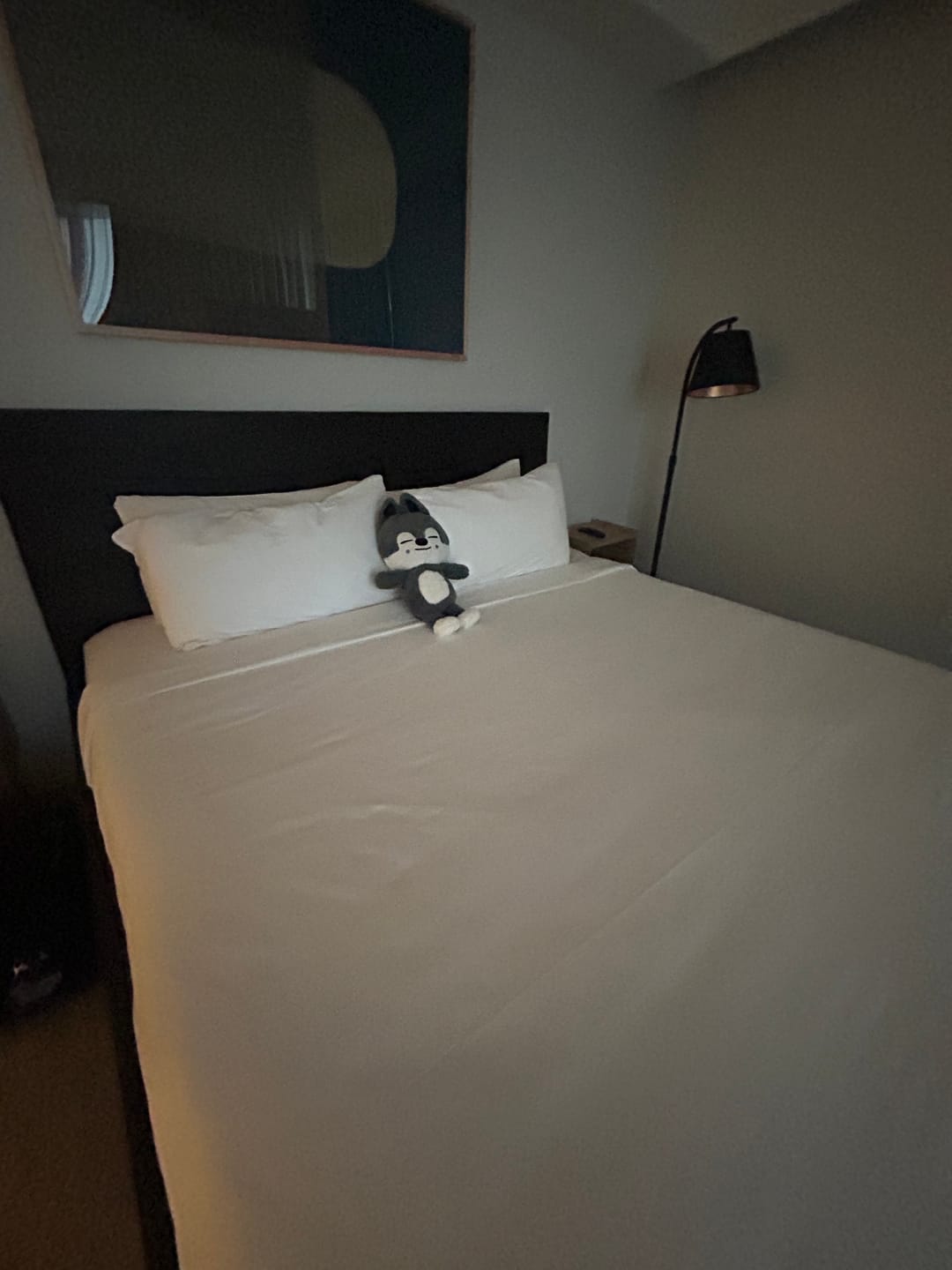 Customer photo review of SKZ Teddybear Plush
