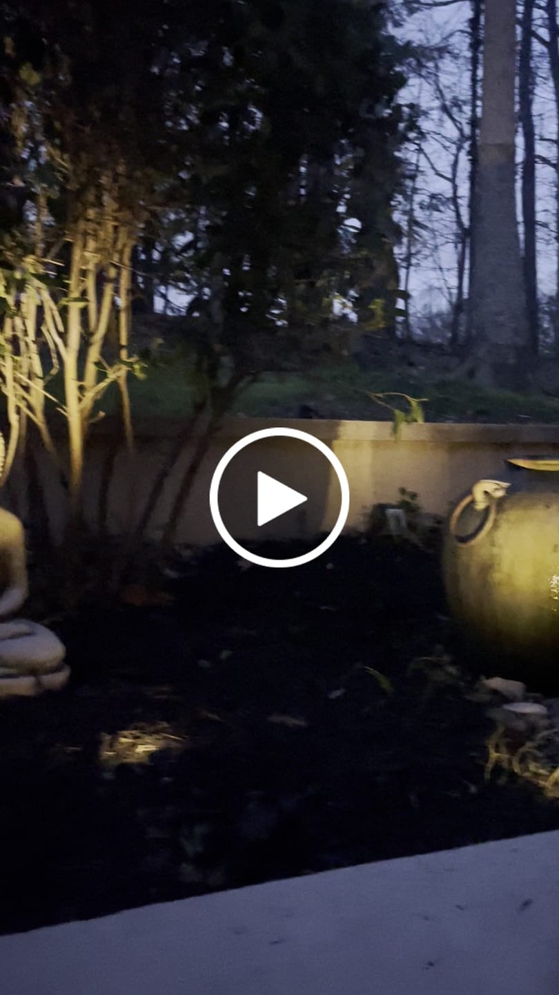 Customer video review of T-SUN Separate LED Solar Spot Lights Warm White
