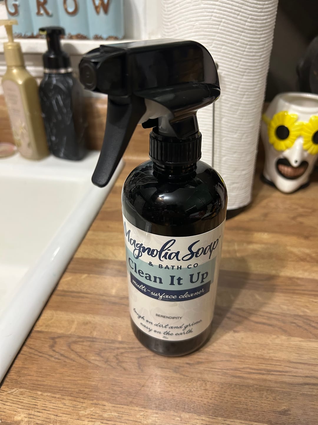 Customer photo review of Clean It Up Spray