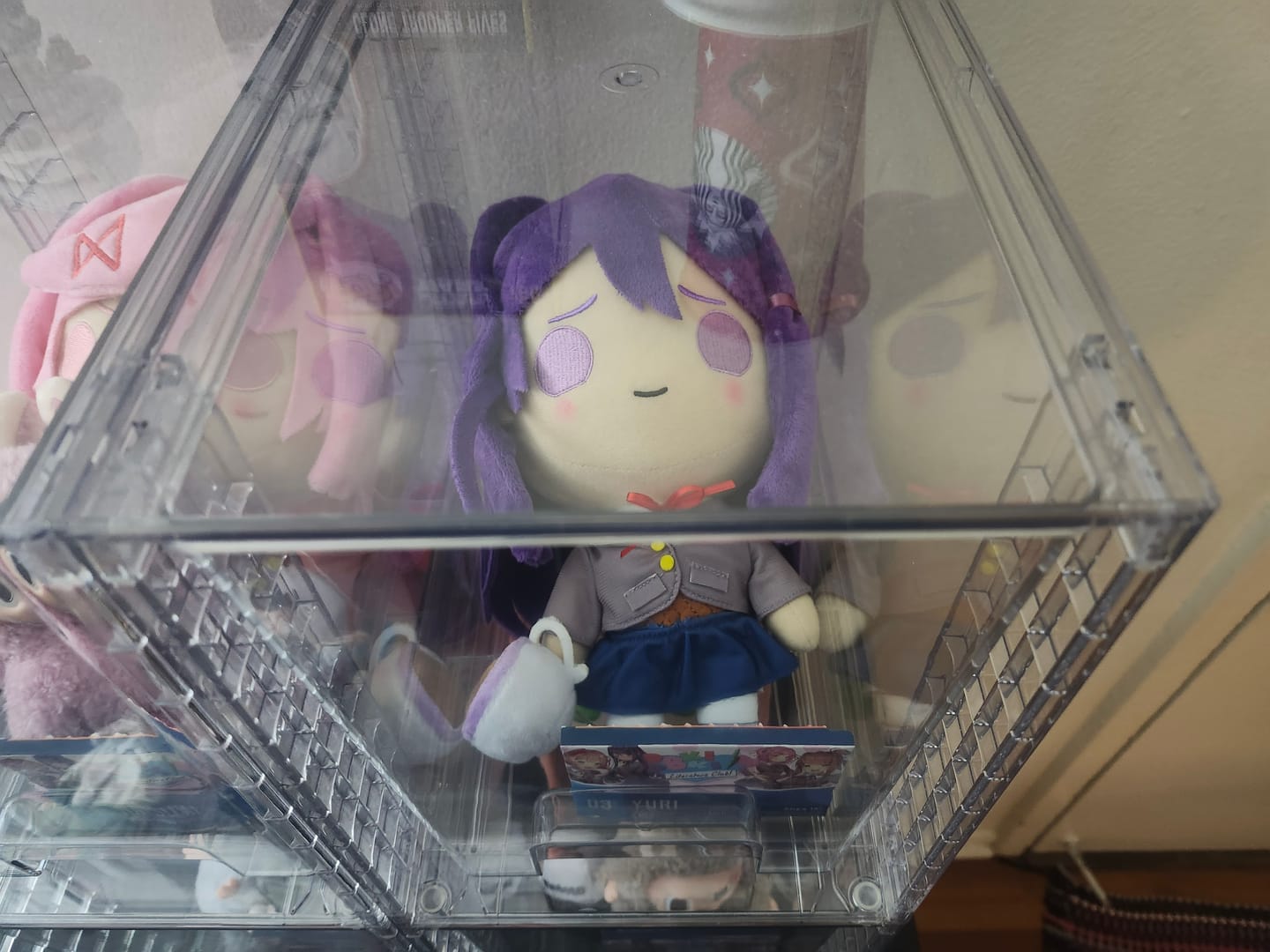 Customer photo review of Doki Doki Literature Club - Yuri Collector's Plush