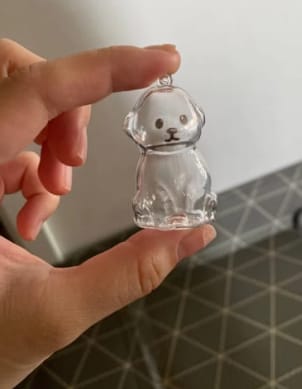Customer photo review of Llavero Recuerdo Mascota