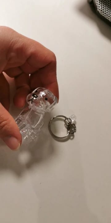 Customer photo review of Llavero Recuerdo Mascota