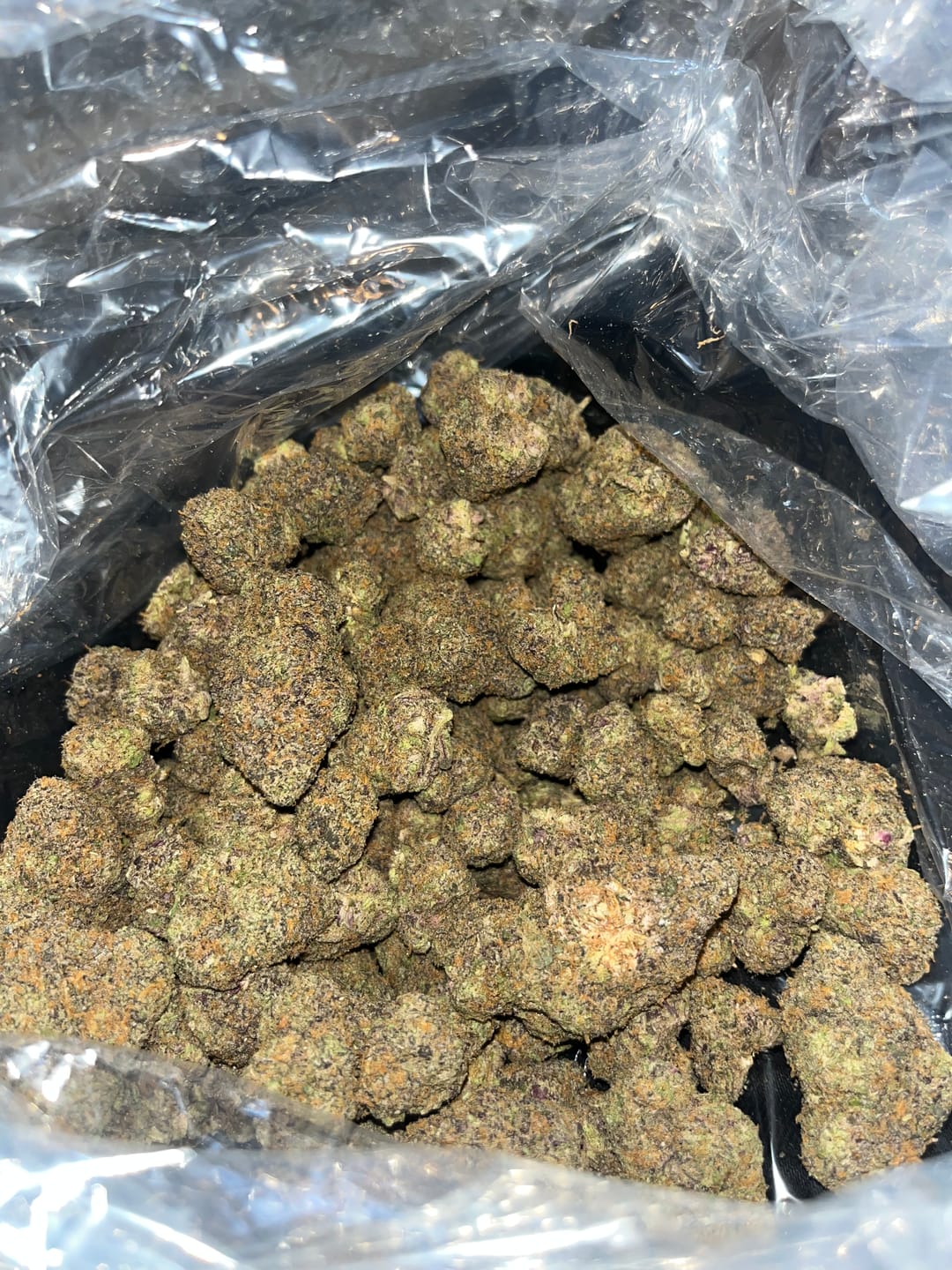 Customer photo review of Zoapz Indoor - Bulk - Hybrid