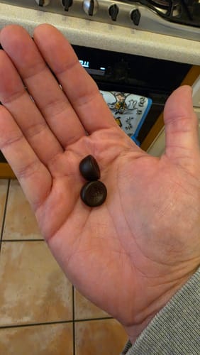 Customer photo review of Buy 2 + 1 Free