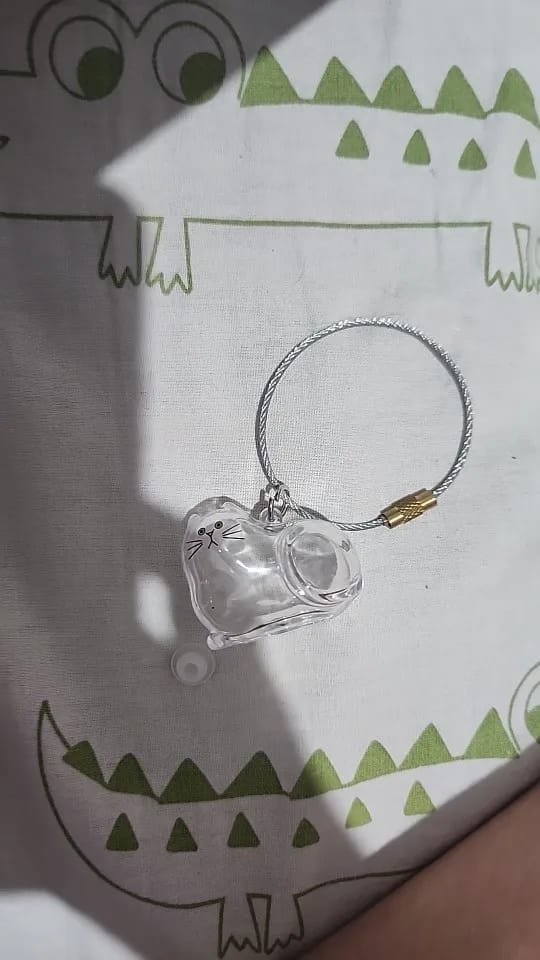 Customer photo review of Llavero Recuerdo Mascota
