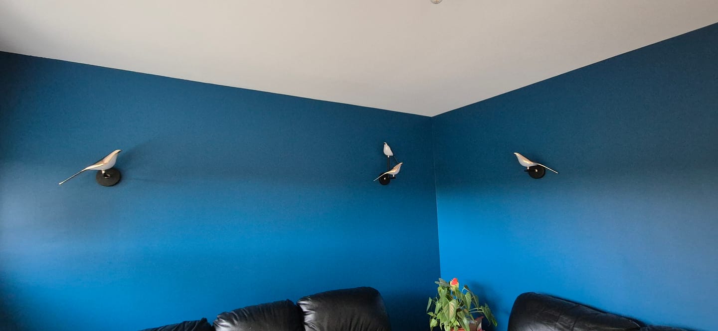 Customer photo review of Applique murale à LED | Oiseaux dorés