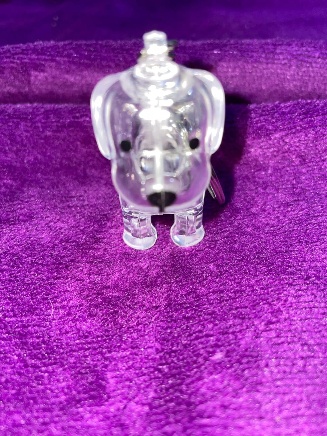 Customer photo review of Llavero Recuerdo Mascota