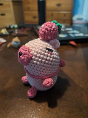 Customer photo review of Lily The Strawberry Capybara Crochet Kit