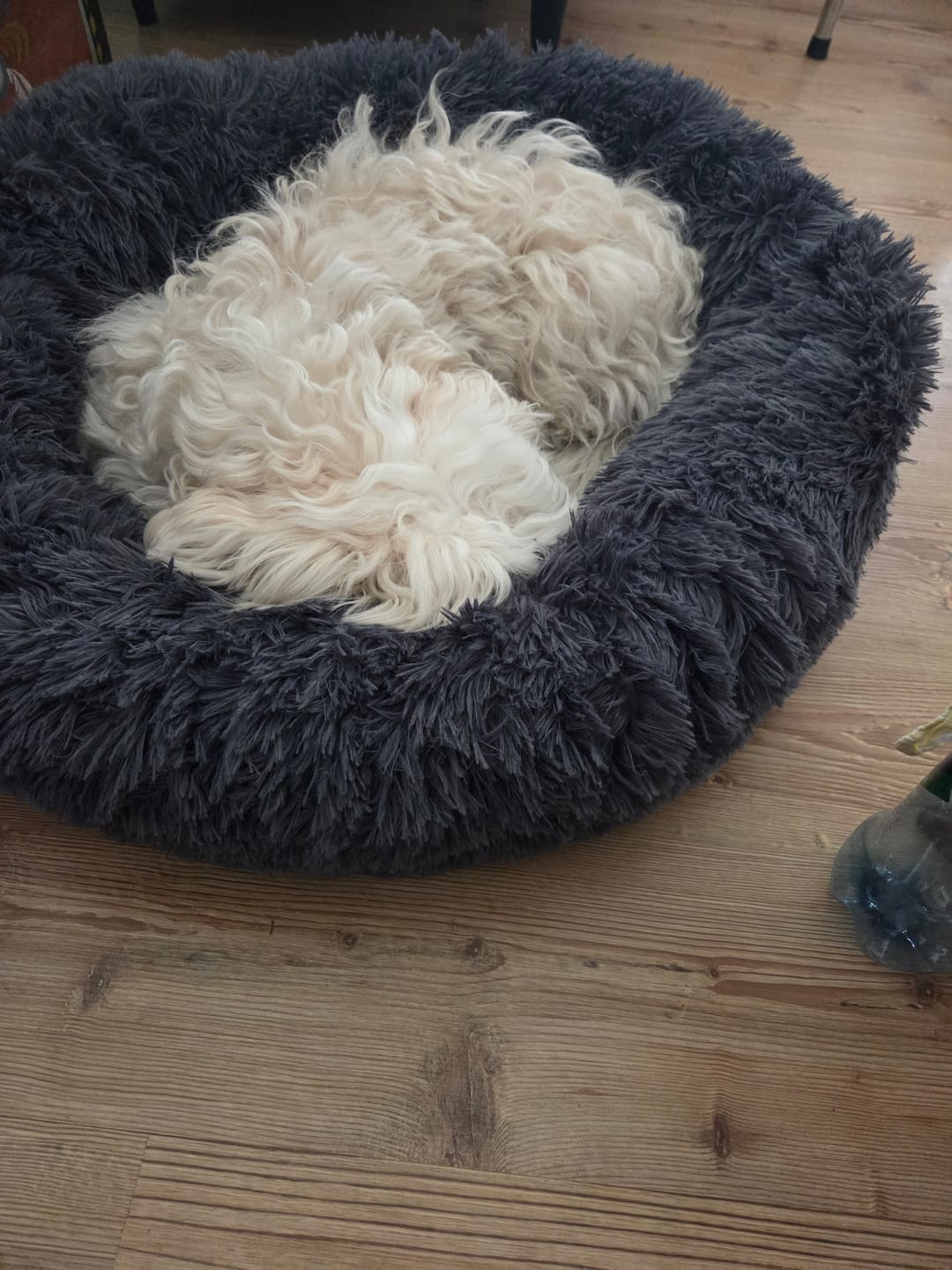 Customer photo review of CalmBed - Motvirker stress & hjelper mot angst