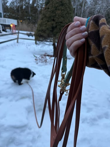 Customer photo review of Biothane Long Line with Detachable Handle