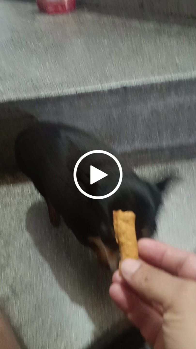 Customer video review of Palitroques tocino y avena 150g