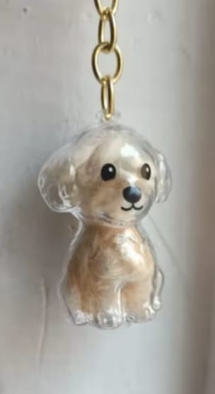Customer photo review of Llavero Recuerdo Mascota
