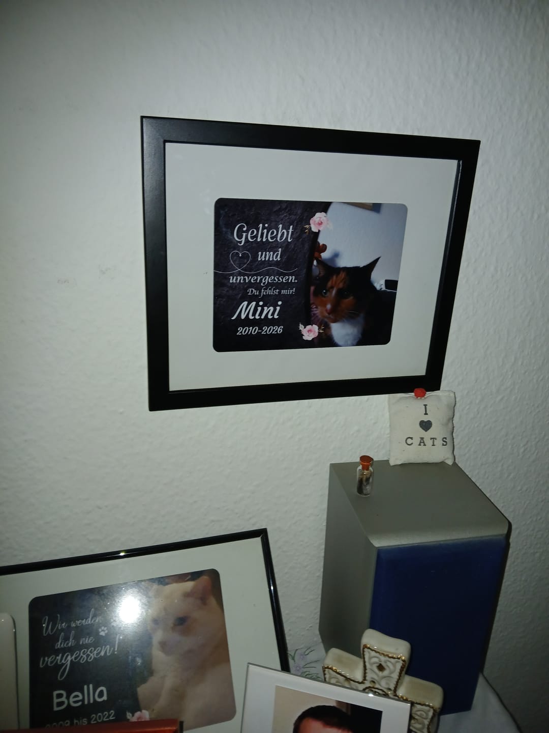 Customer photo review of Katzen Gedenktafel mit Foto & Spruch (UV- & Wetterfest)