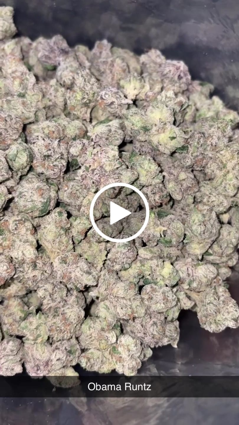 Customer video review of Boutique Exotics Obama Runtz - Bulk - Hybrid