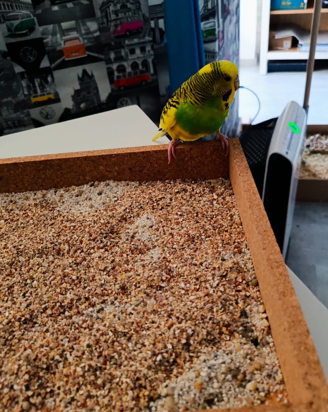 Customer photo review of Vogelgrit