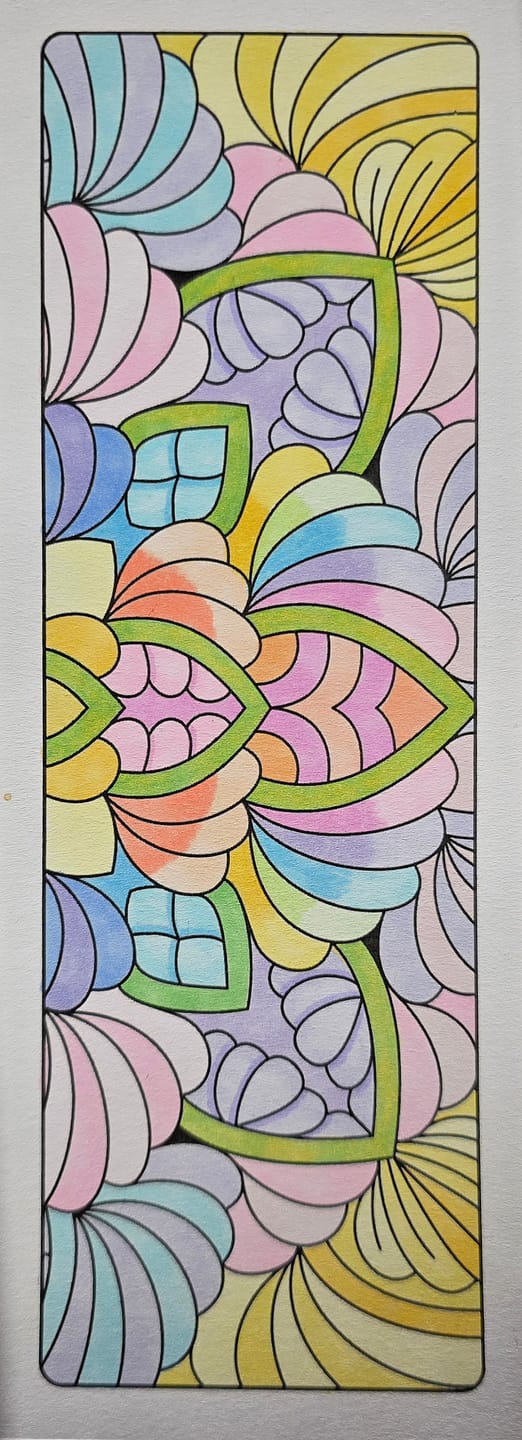 Customer photo review of Ohuhu Honolulu New 48 Pastel Colors Dual Tips Alcohol Art Markers - Blossoming