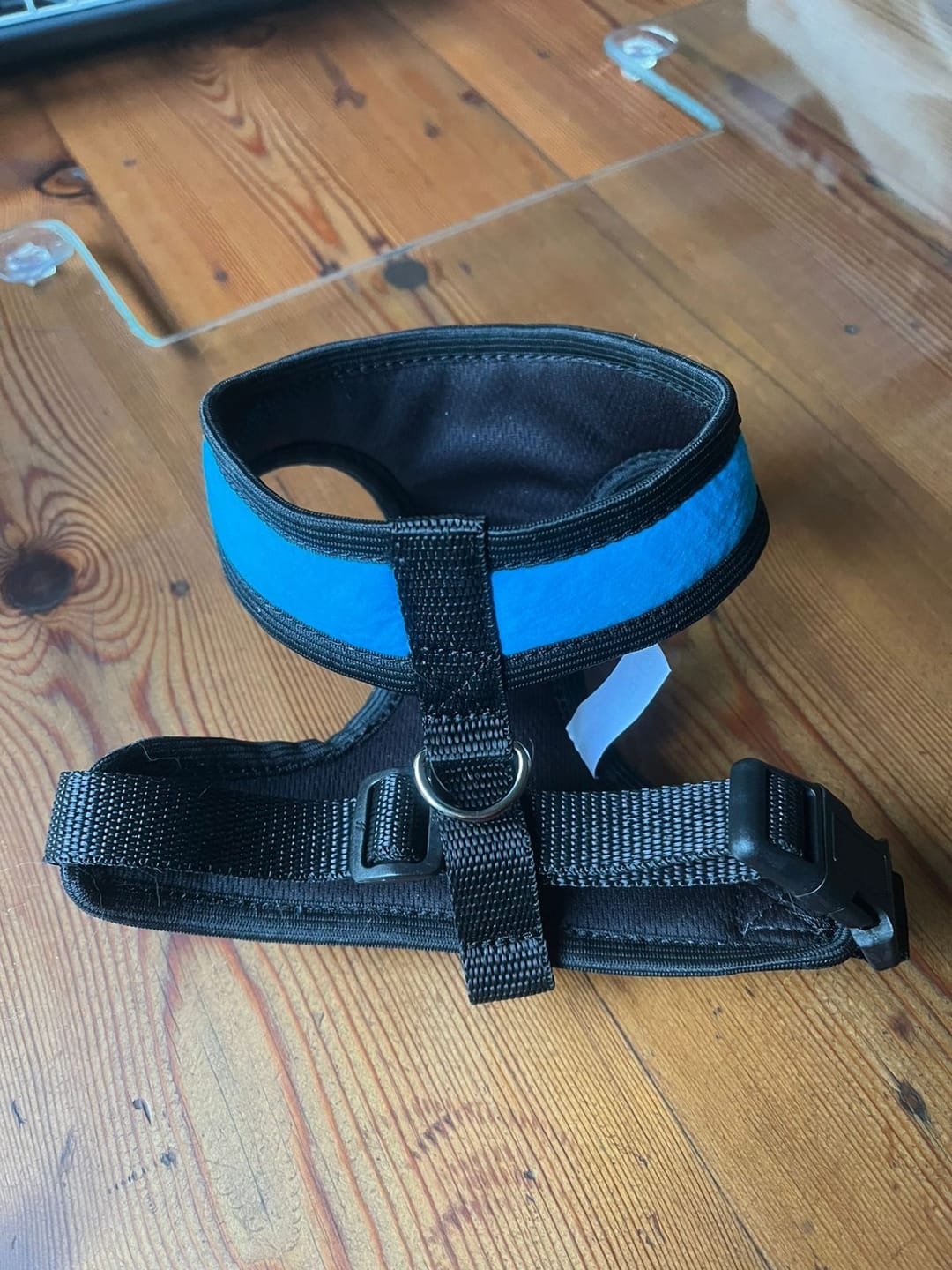 Customer photo review of Webbing 20mm Black