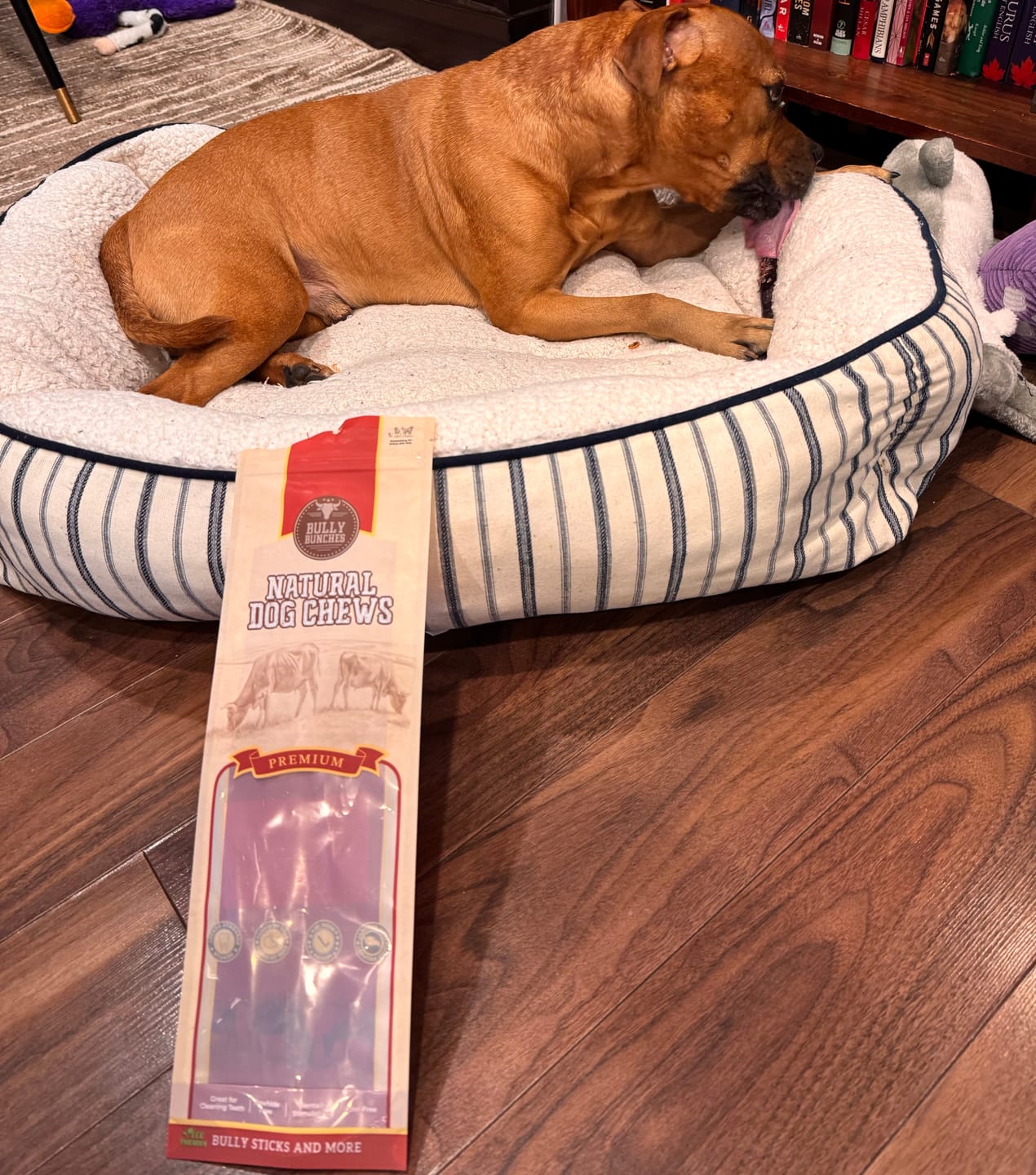 Customer photo review of 12 Inch Monster Bully Stick