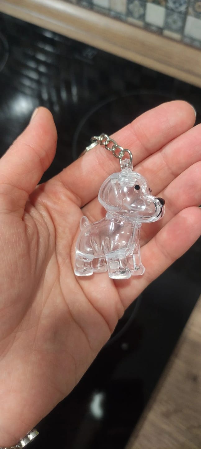 Customer photo review of Llavero Recuerdo Mascota