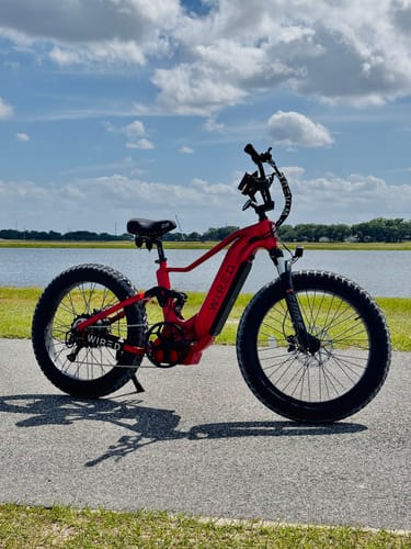 Customer photo review of Wired Warrior