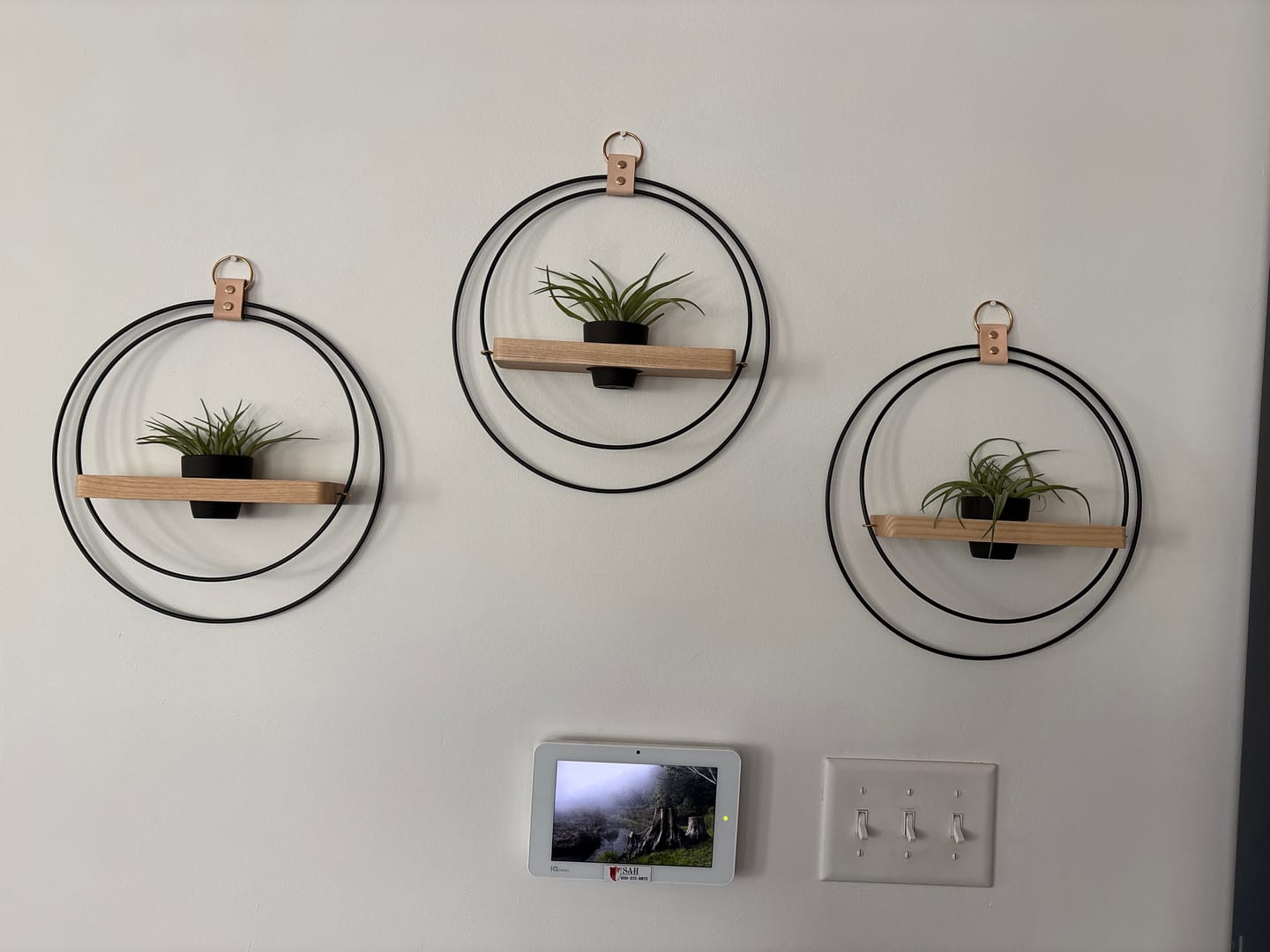 Customer photo review of Air Plant Shelf + Pot