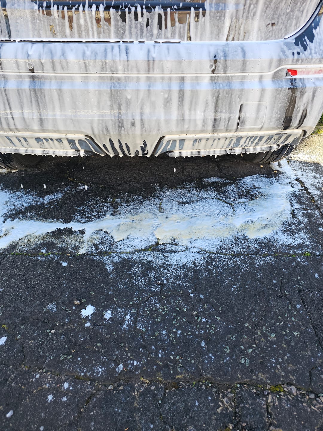 Customer photo review of Arctic Meltdown - Advanced Neutral Snow Foam  | 5 Litres