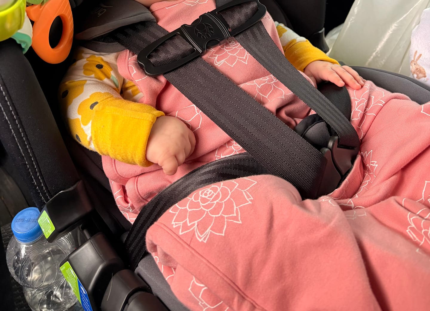 Customer photo review of 4 Season® Ultimate Baby Sleep Bag, Merino Wool & Organic Cotton, Succulent